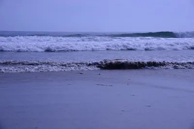 DSC_2237 (Large).JPG